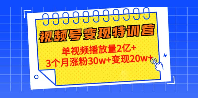 20天视频号变现特训营：单视频播放量2亿+_思维有课