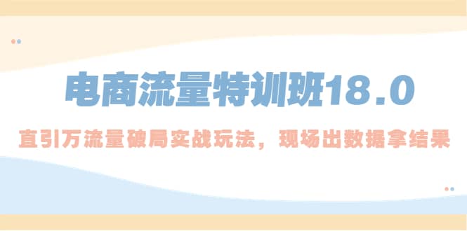 电商流量特训班18.0，直引万流量破局实操玩法，现场出数据拿结果_思维有课