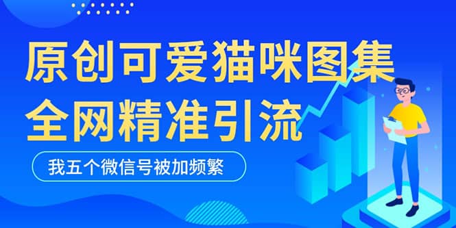 黑科技纯原创可爱猫咪图片，全网精准引流，实操5个VX号被加频繁_思维有课