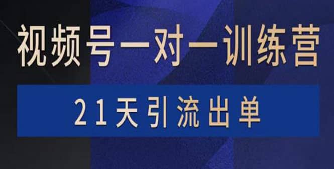 视频号训练营：带货，涨粉，直播，游戏，四大变现新方向，21天引流出单_思维有课