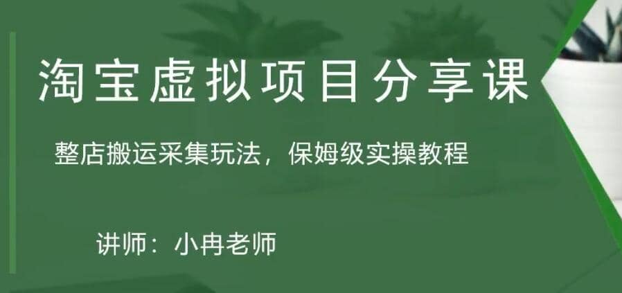 淘宝虚拟整店搬运采集玩法分享课：整店搬运采集玩法，保姆级实操教程_思维有课