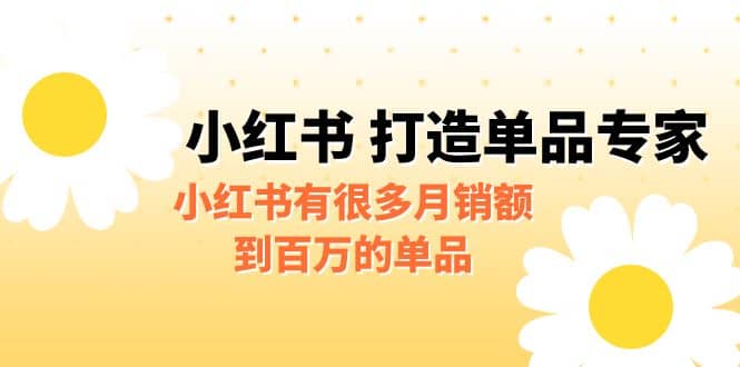 某公众号付费文章《小红书 打造单品专家》小红书有很多月销额到百万的单品_思维有课