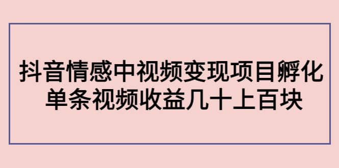 抖音情感中视频变现项目孵化_思维有课