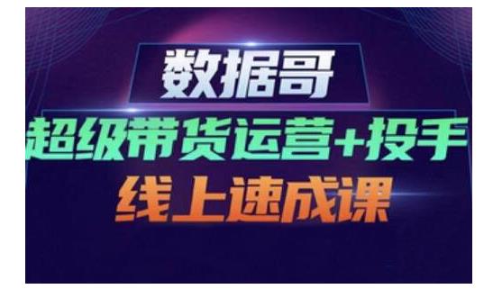 数据哥·超级带货运营+投手线上速成课，快速提升运营和熟悉学会投手技巧_网创工坊