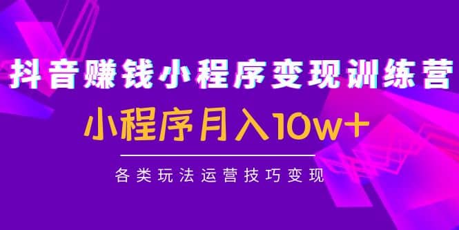 抖音小程序变现训练营：小程序各类玩法运营技巧变现_思维有课