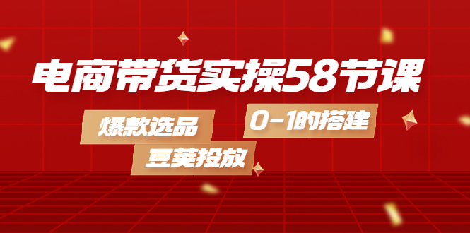 电商带货实操58节课，爆款选品，豆荚投放，0-1的搭建_思维有课