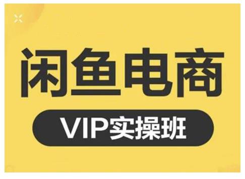 闲鱼电商零基础入门到进阶VIP实战课程，帮助你掌握闲鱼电商所需的各项技能_思维有课