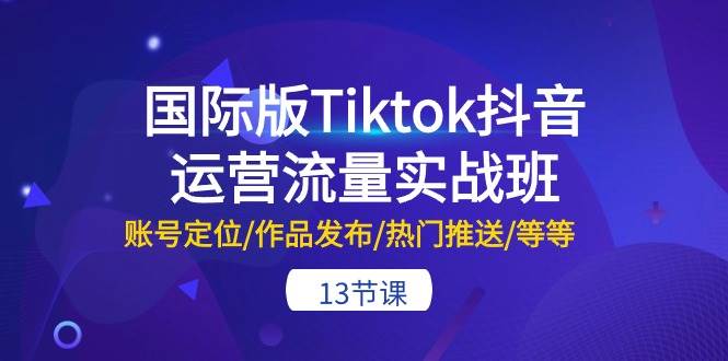 国际版Tiktok抖音运营流量实战班：账号定位/作品发布/热门推送/等等-13节_思维有课