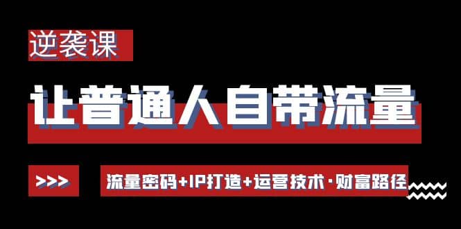 让普通人自带流量的逆袭课：流量密码+IP打造+运营技术·财富路径_思维有课