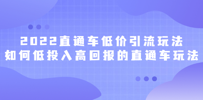 2022直通车低价引流玩法，教大家如何低投入高回报的直通车玩法_思维有课