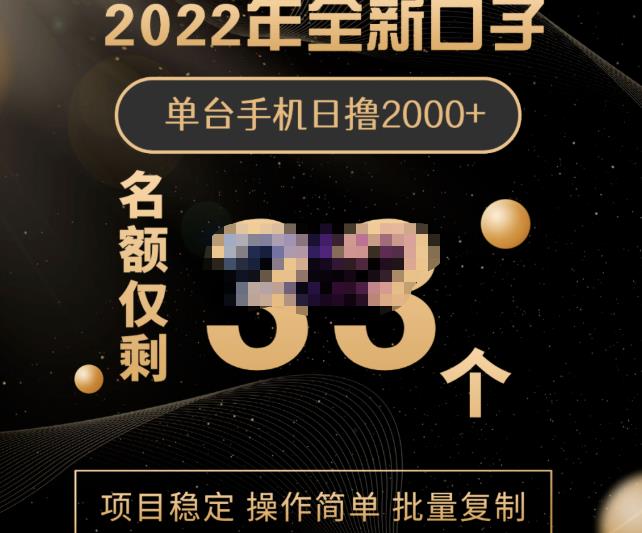 2022年全新口子，手机批量搬砖玩法，一部手机日撸2000+_思维有课