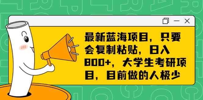 最新蓝海项目，只要会复制粘贴，日入800+，大学生考研项目，目前做的人极少_思维有课