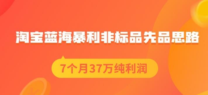 盗坤淘宝蓝海暴利非标品先品思路，7个月37万纯利润，压箱干货分享！【付费文章】_思维有课