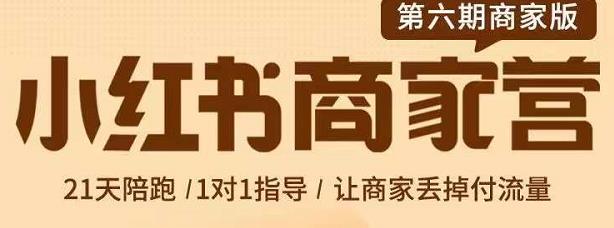 贾真-小红书商家营第6期商家版，21天带货陪跑课，让商家丢掉付流量_思维有课