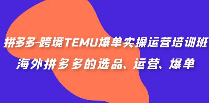 拼多多-跨境TEMU爆单实操运营培训班，海外拼多多的选品、运营、爆单_思维有课