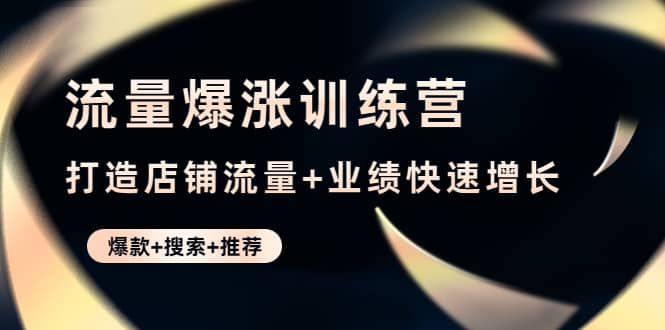 流量爆涨训练营：打造店铺流量+业绩快速增长 (爆款+搜索+推荐)_思维有课