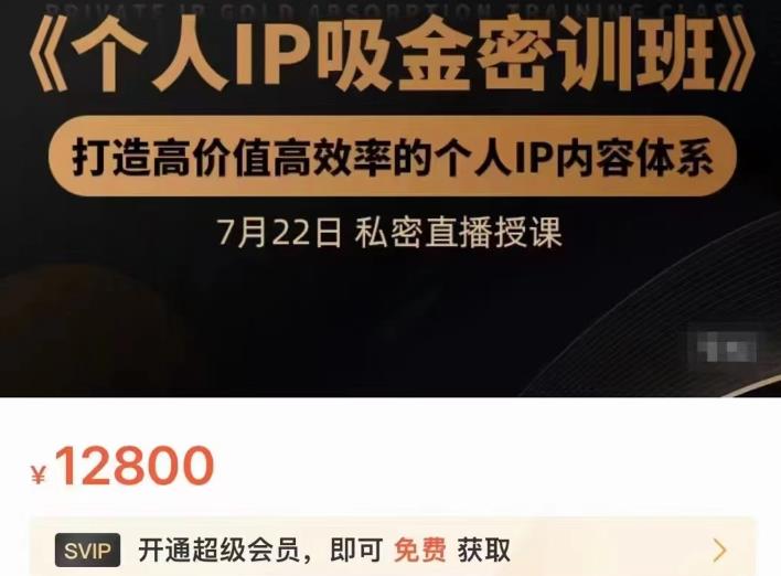 个人IP吸金密训班，打造高价值高效率的个人IP内容体系（价值12800元）_思维有课