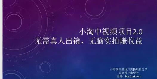 小淘项目组网赚永久会员，绝对是具有实操价值的，适合有项目做需要流程【持续更新】_思维有课