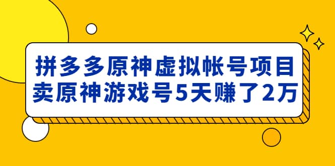 外面卖2980的拼多多原神虚拟帐号项目_网创工坊