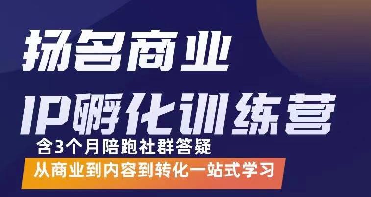 杨名商业IP孵化训练营，从商业到内容到转化一站式学 价值5980元_思维有课