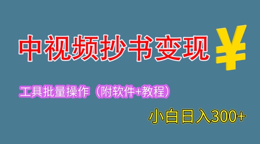 2023中视频抄书变现（附工具+教程），一天300+，特别适合新手操作的副业_思维有课