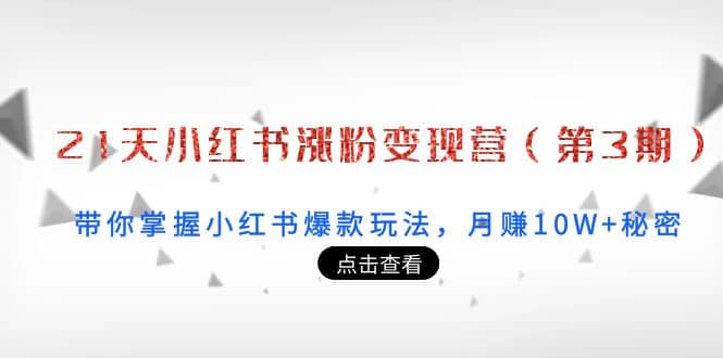 21天小红书涨粉变现营（第3期）：带你掌握小红书爆款玩法，月赚10W+秘密_思维有课