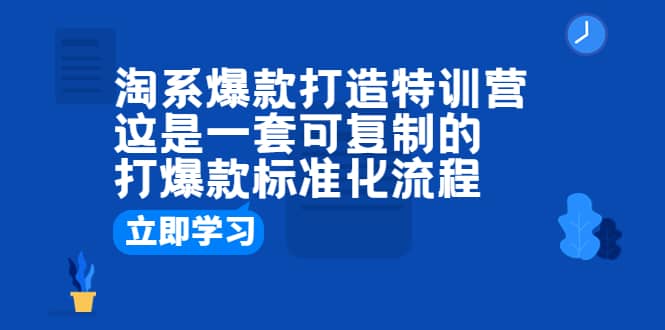 淘系爆款打造特训营：这是一套可复制的打爆款标准化流程_思维有课