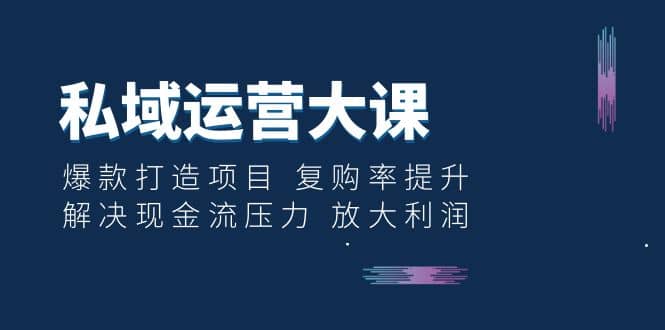 私域运营大课：爆款打造项目 复购率提升 解决现金流压力 放大利润_思维有课