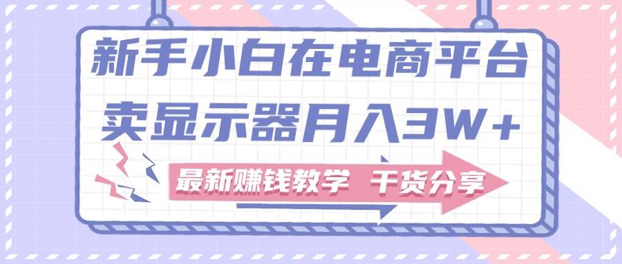 新手小白如何做到在电商平台卖显示器月入3W+，最新赚钱教学干货分享_思维有课