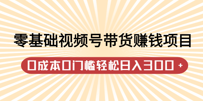 零基础视频号带货赚钱项目，0成本0门槛轻松日入300+【视频教程】_思维有课