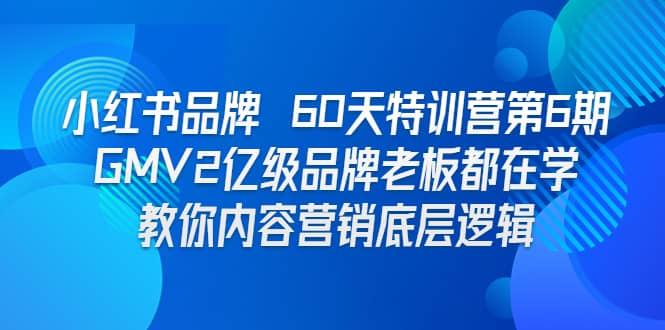 小红书品牌 60天特训营第6期 GMV2亿级品牌老板都在学 教你内容营销底层逻辑_思维有课