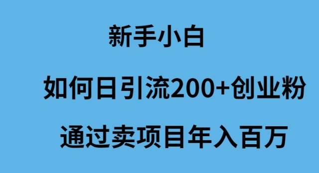 新手小白如何日引流200+创业粉通过卖项目年入百万_思维有课