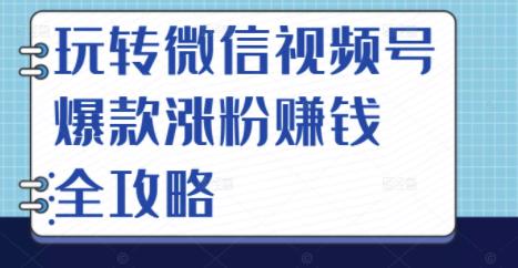 玩转微信视频号爆款涨粉赚钱全攻略，让你快速抓住流量风口，收获红利财富_思维有课