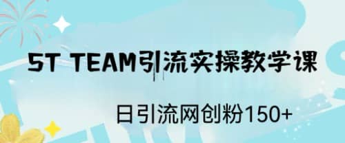 ST TEAM引流实操课，日引流网创粉100+_思维有课