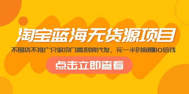 淘宝蓝海无货源项目，不囤货不推广只做冷门高利润代发_思维有课