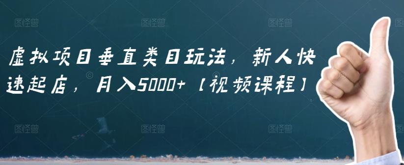 虚拟项目垂直类目玩法，新人快速起店，月入5000+【视频课程】_思维有课