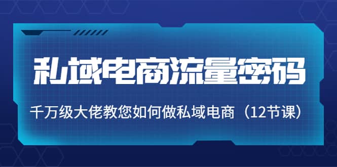 私域电商流量密码：千万级大佬教您如何做私域电商（12节课）_思维有课