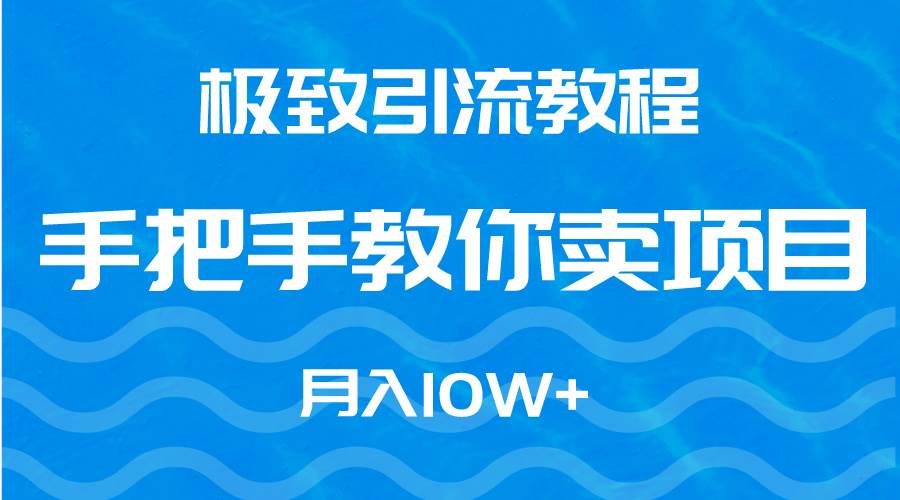 极致引流教程，手把手教你卖项目，月入10W+_思维有课