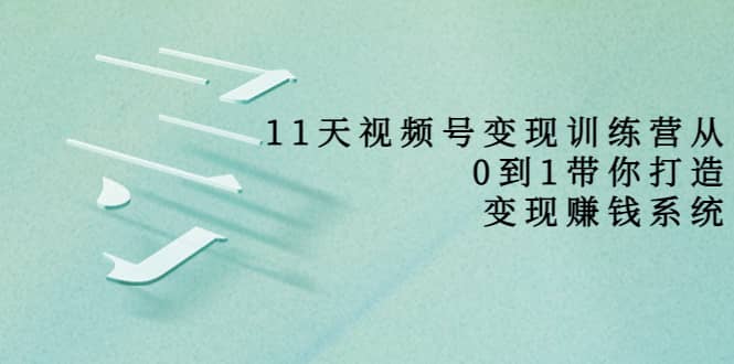 好望角·11天视频号变现训练营，从0到1打造变现赚钱系统（价值398）_思维有课