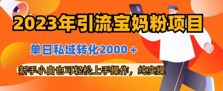 2023年引流宝妈粉项目，单日私域转化2000＋，新手小白也可轻松上手操作，纯实操_思维有课