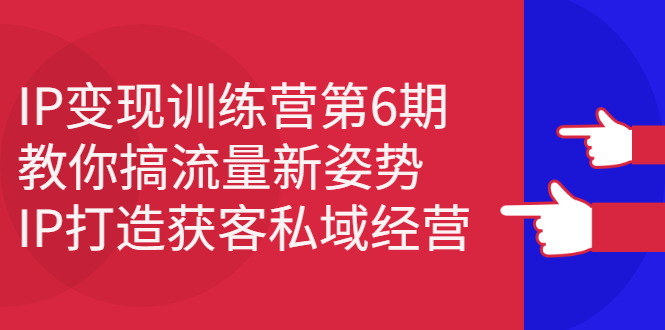 IP变现训练营第6期：教你搞流量新姿势，IP打造获客私域经营_思维有课