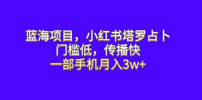 蓝海项目，小红书塔罗占卜，门槛低，传播快，一部手机月入3w+_思维有课