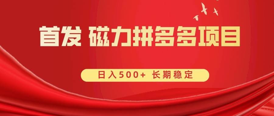 首发 磁力拼多多自撸  日入500+_思维有课