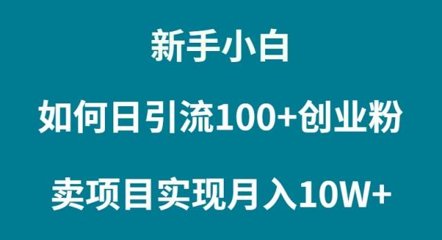 新手小白如何通过卖项目实现月入10W+_思维有课