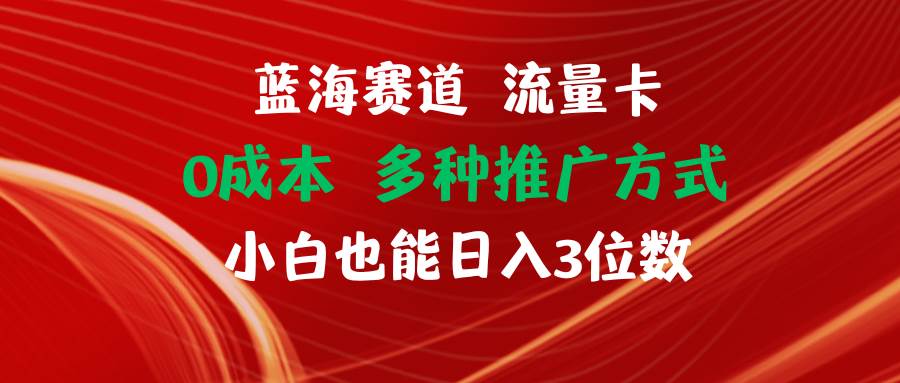 蓝海赛道 流量卡 0成本 小白也能日入三位数_思维有课