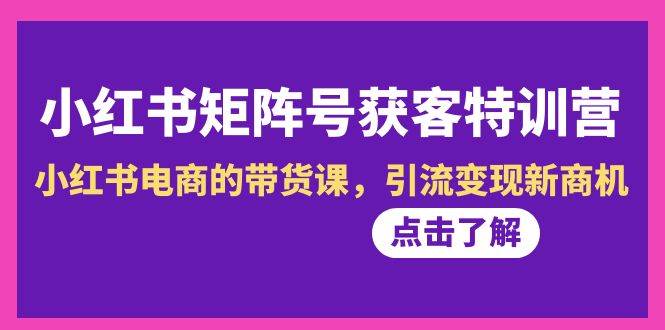 小红书-矩阵号获客特训营-第10期，小红书电商的带货课，引流变现新商机_思维有课