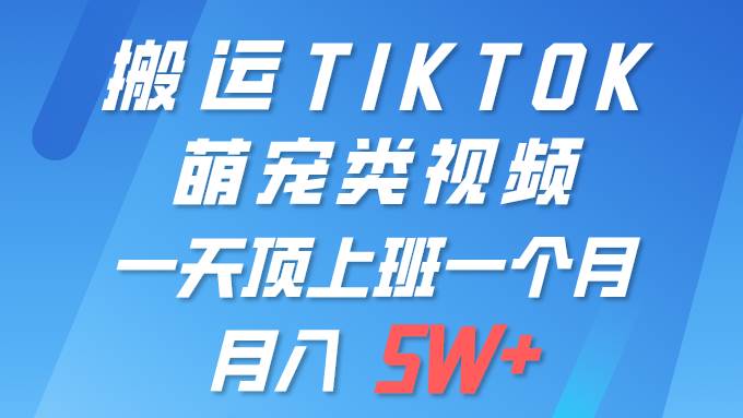 一键搬运TIKTOK萌宠类视频 一部手机即可操作 所有平台均可发布 轻松月入5W+_思维有课