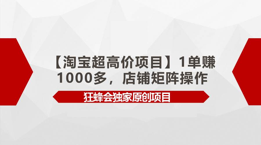 【淘宝超高价项目】1单赚1000多，店铺矩阵操作_思维有课