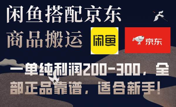 闲鱼搭配京东备份库搬运，一单纯利润200-300，全部正品靠谱，适合新手！_思维有课