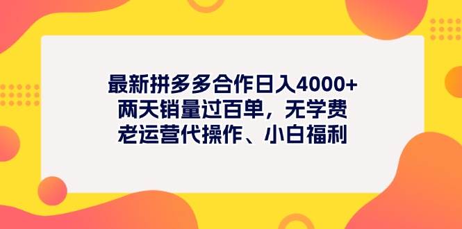 最新拼多多项目日入4000+两天销量过百单，无学费、老运营代操作、小白福利_思维有课